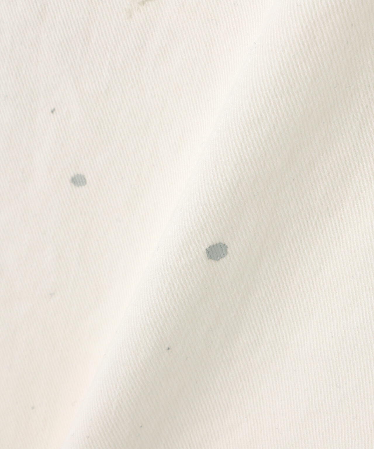 BOWWOW/バウワウ/PAINTER’S SPLATTER SHORTS