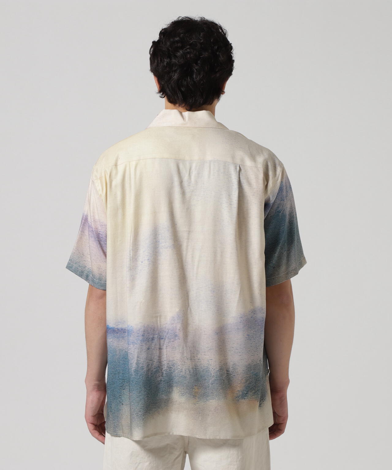 b735db21-4ef4-5742-8588-acf0b7c68118_Image