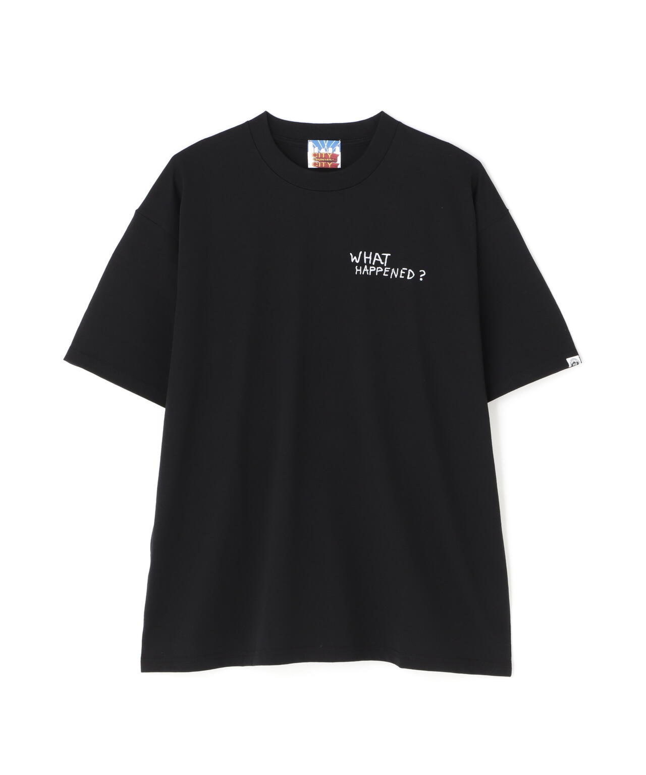CITY COUNTRY CITY /シティーカントリーシティー/COTTON S/S T WHAT HAPPENED?