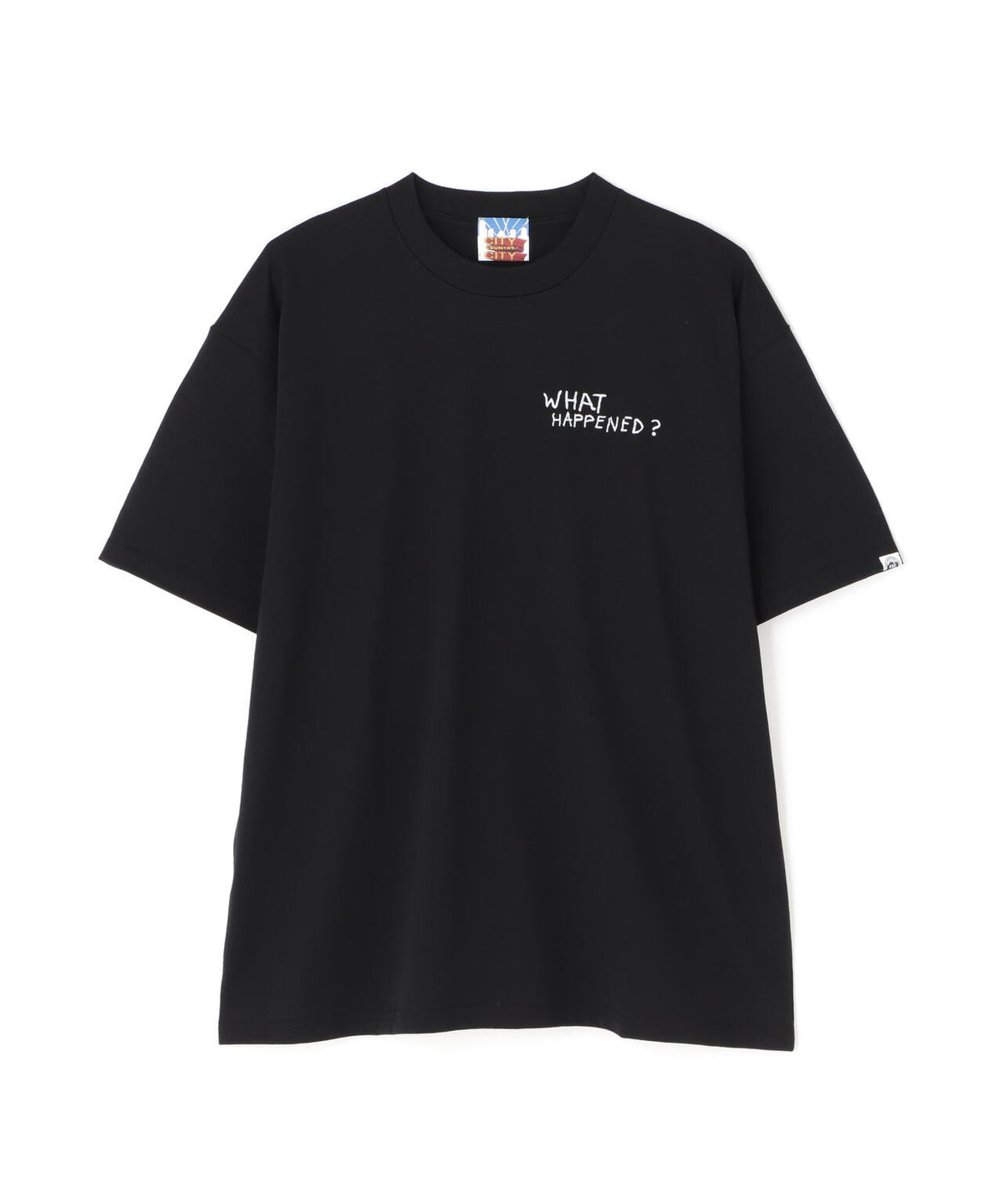 CITY COUNTRY CITY /シティーカントリーシティー/COTTON S/S T WHAT HAPPENED?