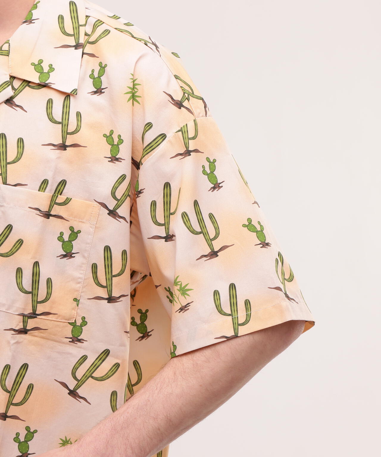 55a18e0e-e5d9-5d0c-9428-ab533a04bb29_Image