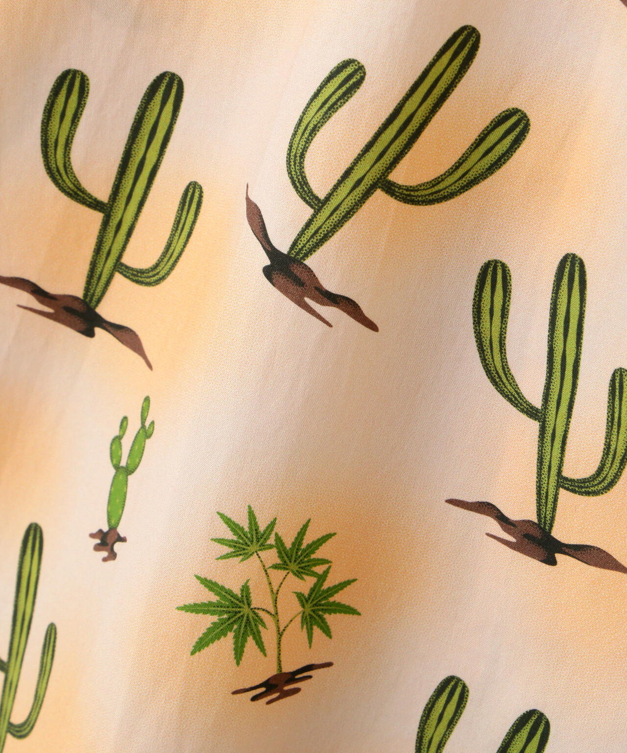 cd647566-8353-5fe6-bab5-cc22d87d1cb1_Image