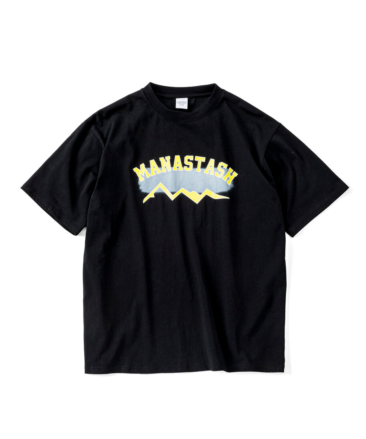 MANASTASH/マナスタッシュ/CiTee BRUSH Tシャツ