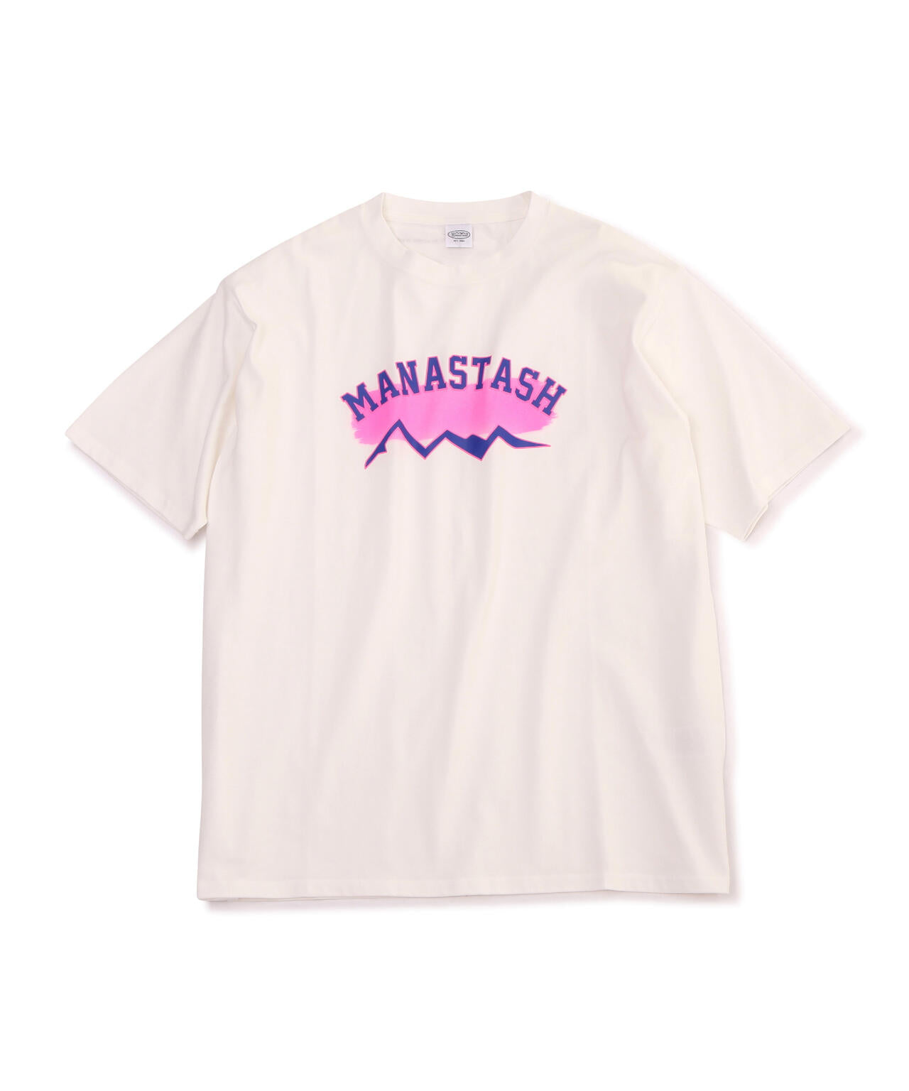 MANASTASH/マナスタッシュ/CiTee BRUSH Tシャツ