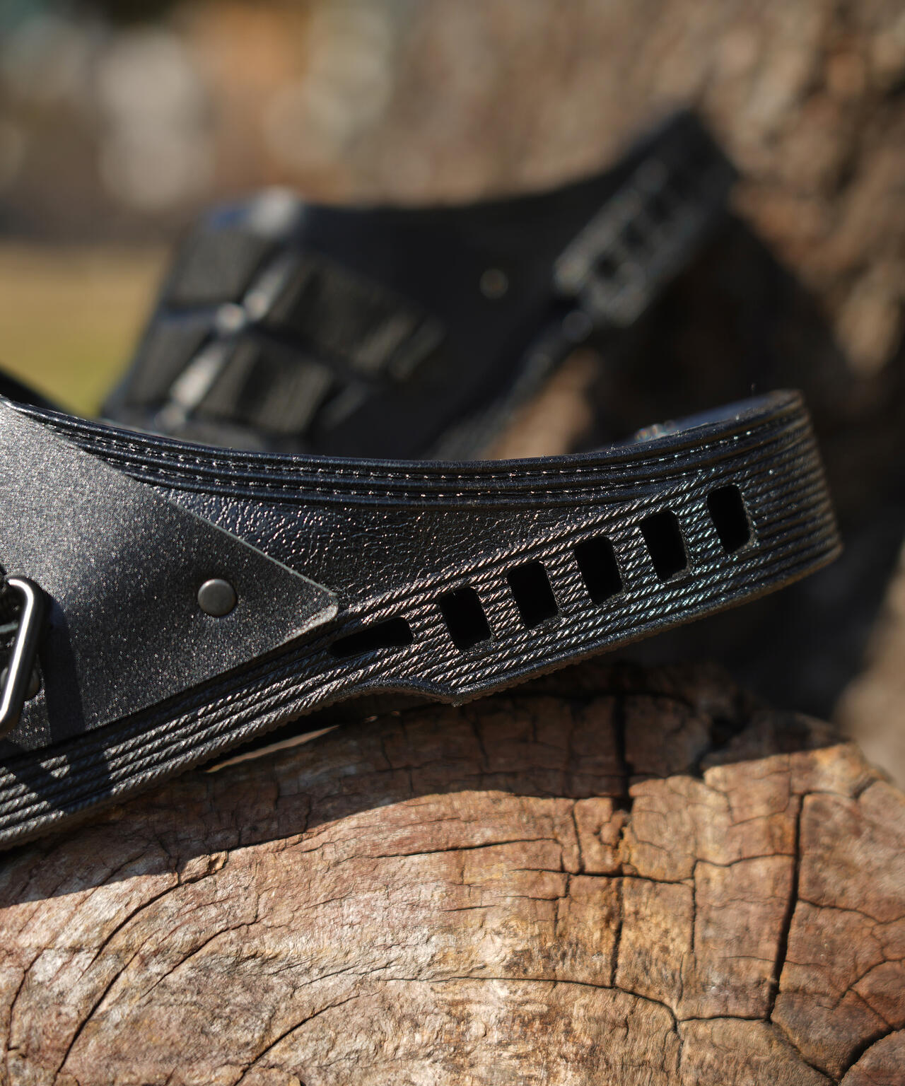 e2698a62-ac6a-5403-b07c-1d28cd88d2ba_Image