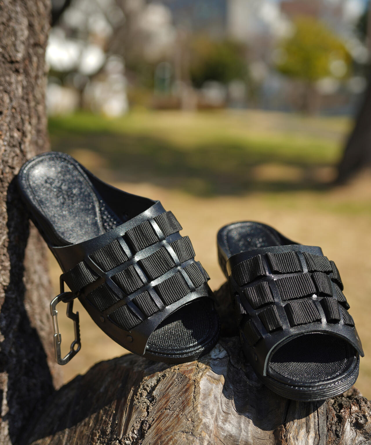 89ce5543-ea73-53d8-9227-b3d006ad5baa_Image