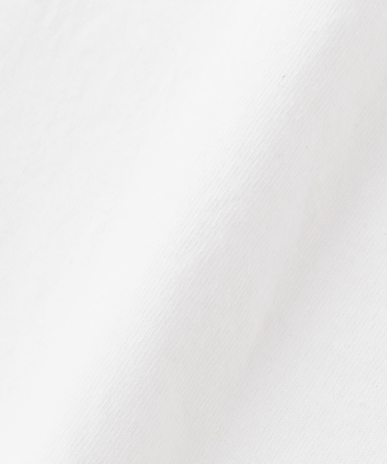 431db6e0-a06e-5709-ae61-aa86059e135e_Image