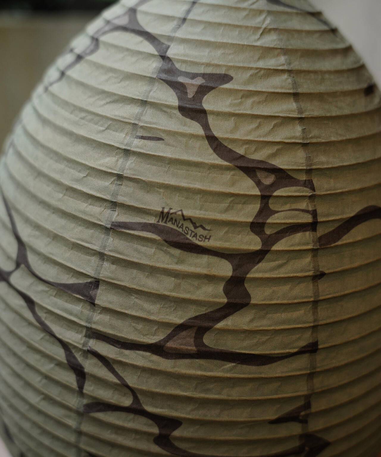 91279149-4b38-54e9-8449-7f05662aacd3_Image