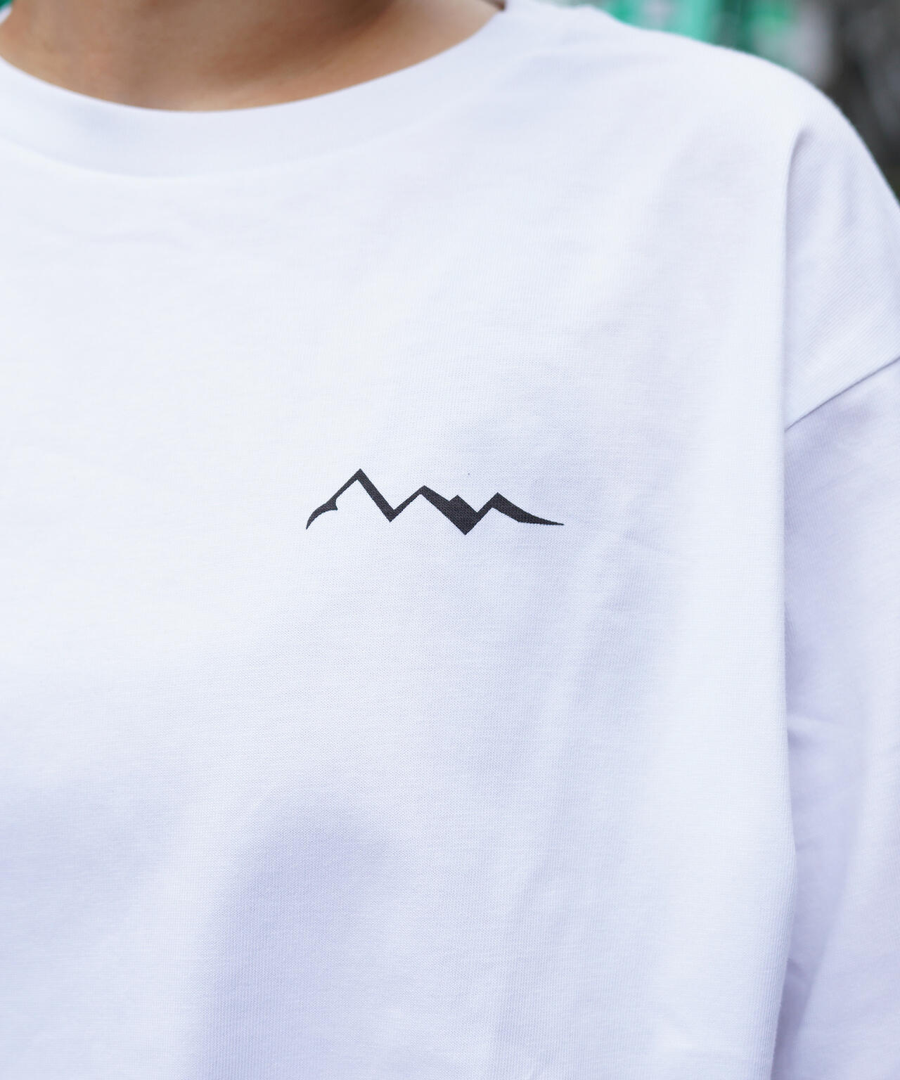 e7972c25-5ecd-55e8-aaa7-99fe5c75486d_Image