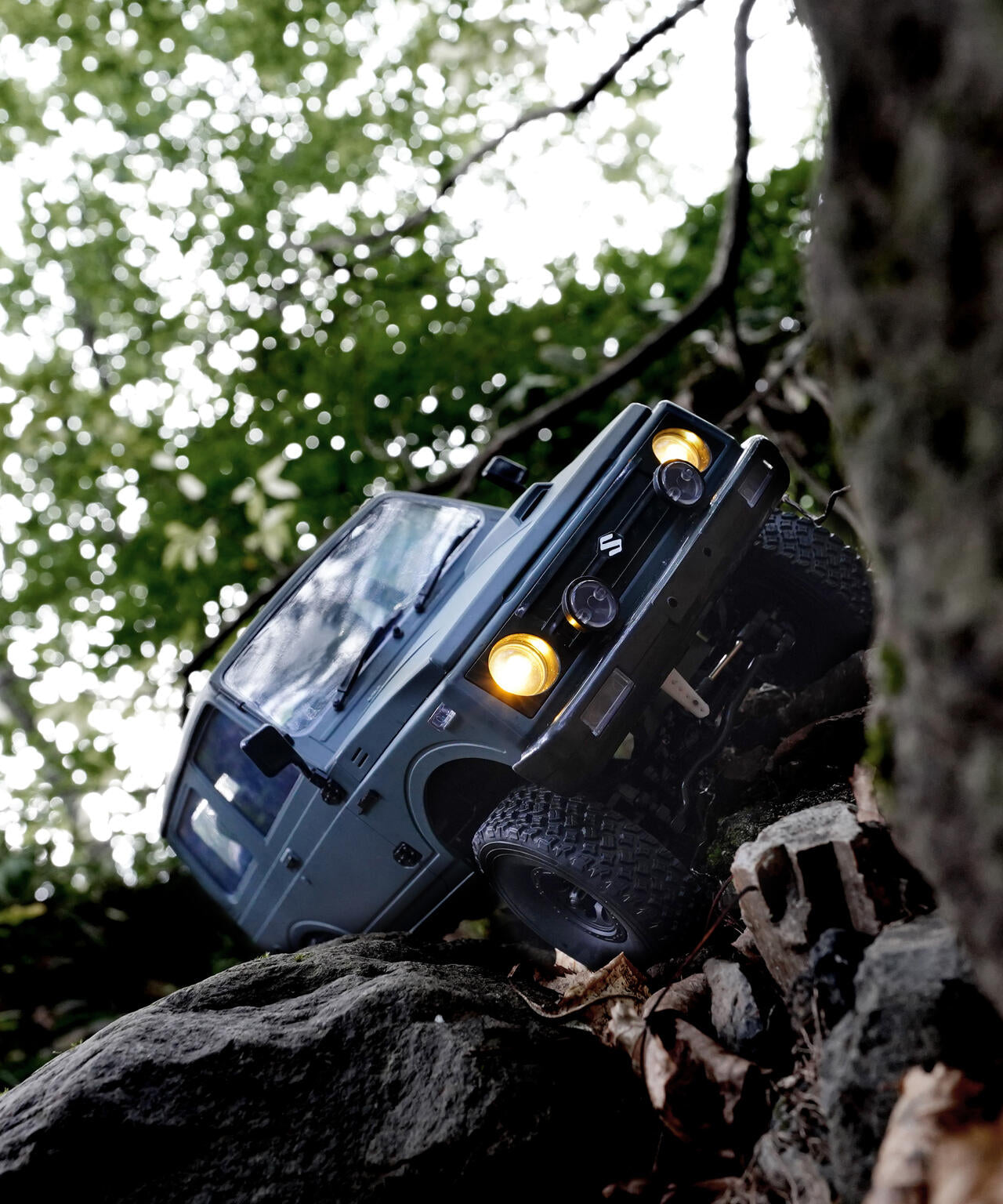 9cb1f4d4-0068-553a-a1b7-a0a29f08e5e8_Image