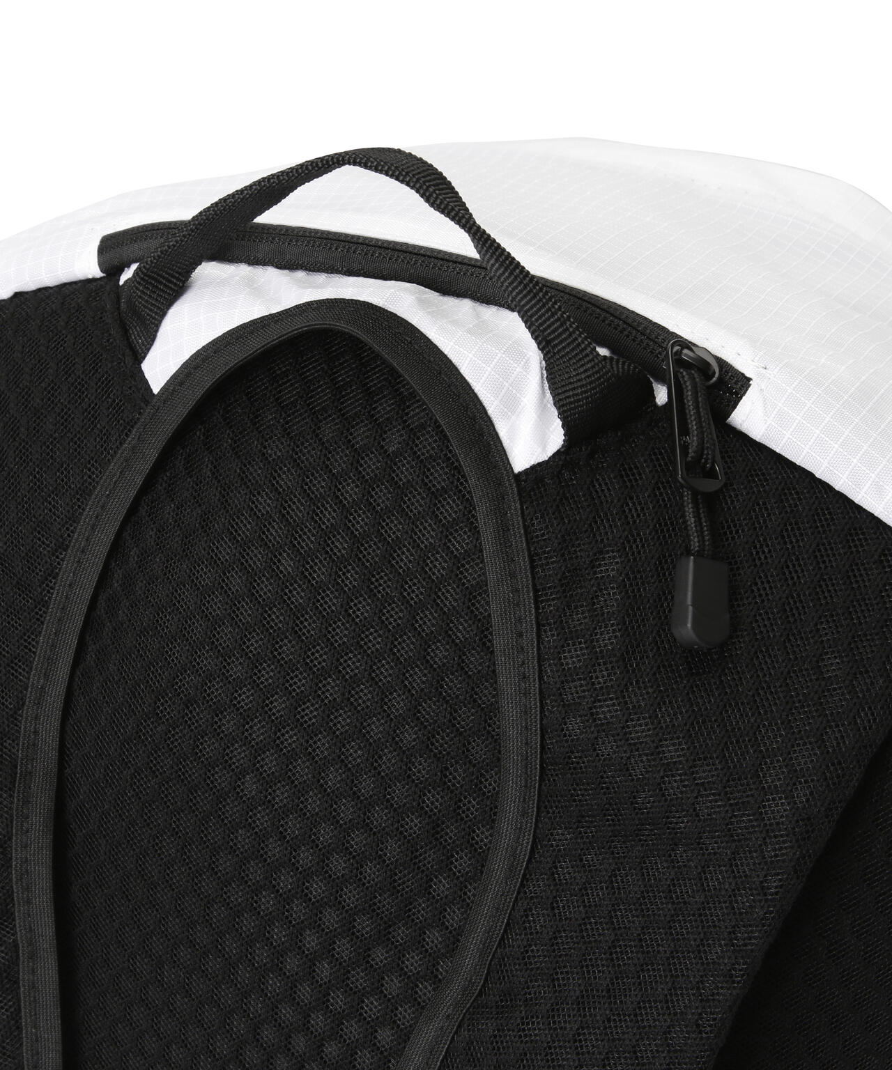 6c4219f9-c725-56ca-baf1-a1a6e37f5357_Image