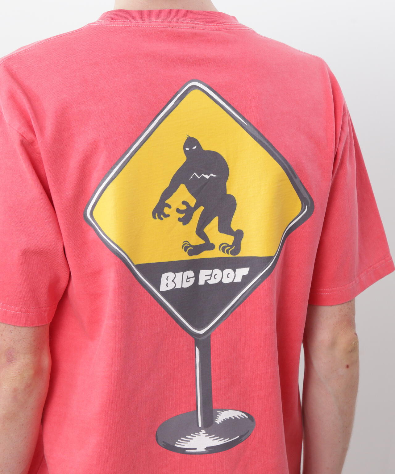 MANASTASH/マナスタッシュ/PUMICE TEE CAUTION!