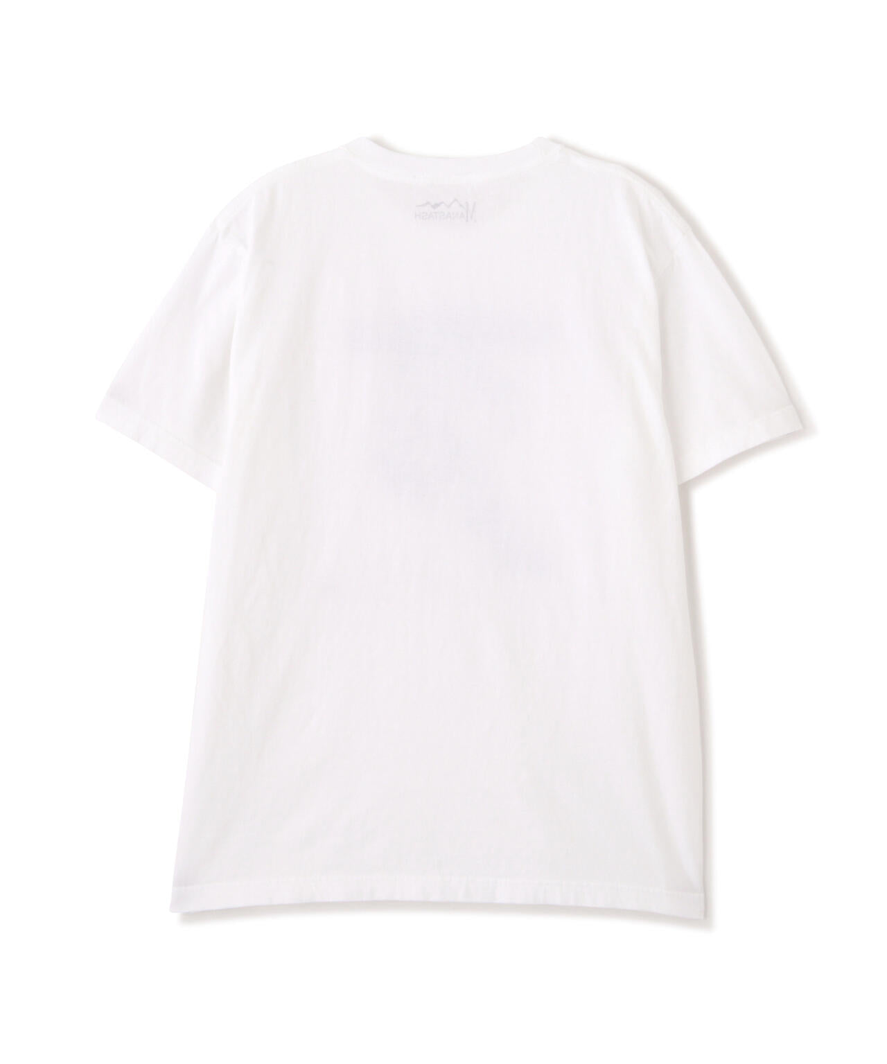 0b6289b2-78c9-5e4b-959e-fb1e6f034cf1_Image