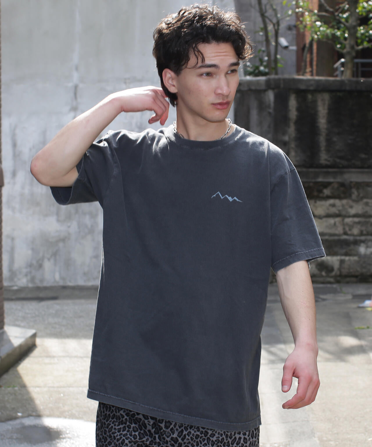 0cee0ad8-8859-5f8a-900f-7e8d65df4de4_Image