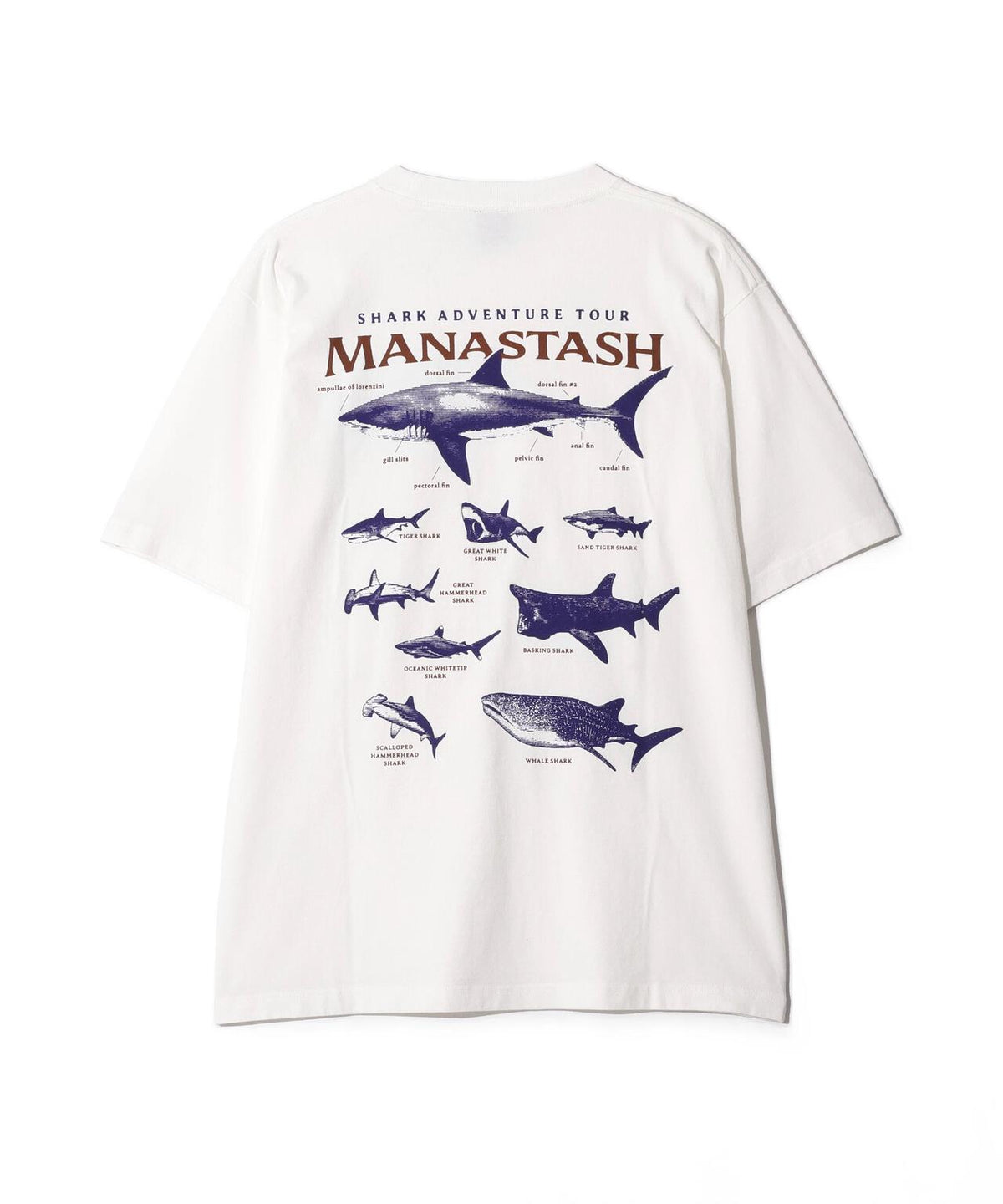 MANASTASH/マナスタッシュ/PUMICE TEE SHARK