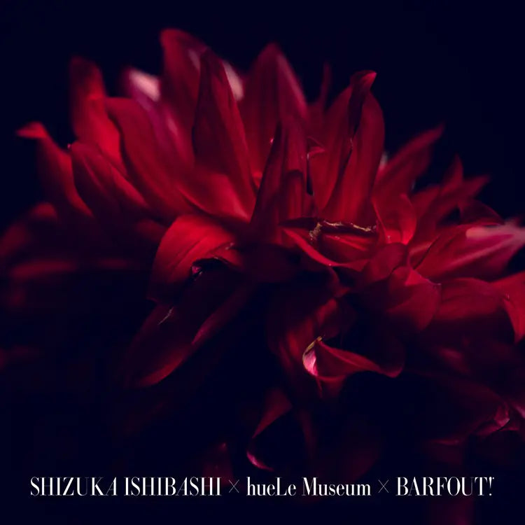 Creative Communication Labo Vol.01 “纏う” 石橋静河  バァフアウト！｜hueLe Museum｜