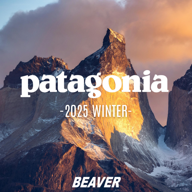 Patagonia 2025 WINTER |BEAVER|