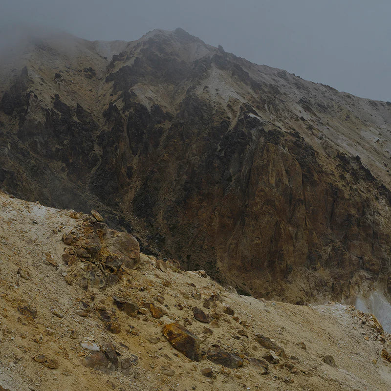 2025 AUTUMN & WINTER CATALOG｜and wander｜