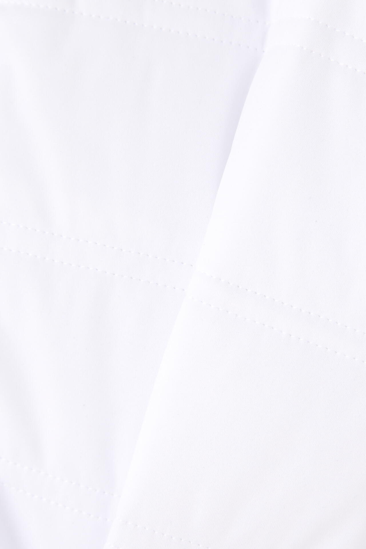 e29d53c2-d29e-5889-86ac-dd41dcb57839_Image