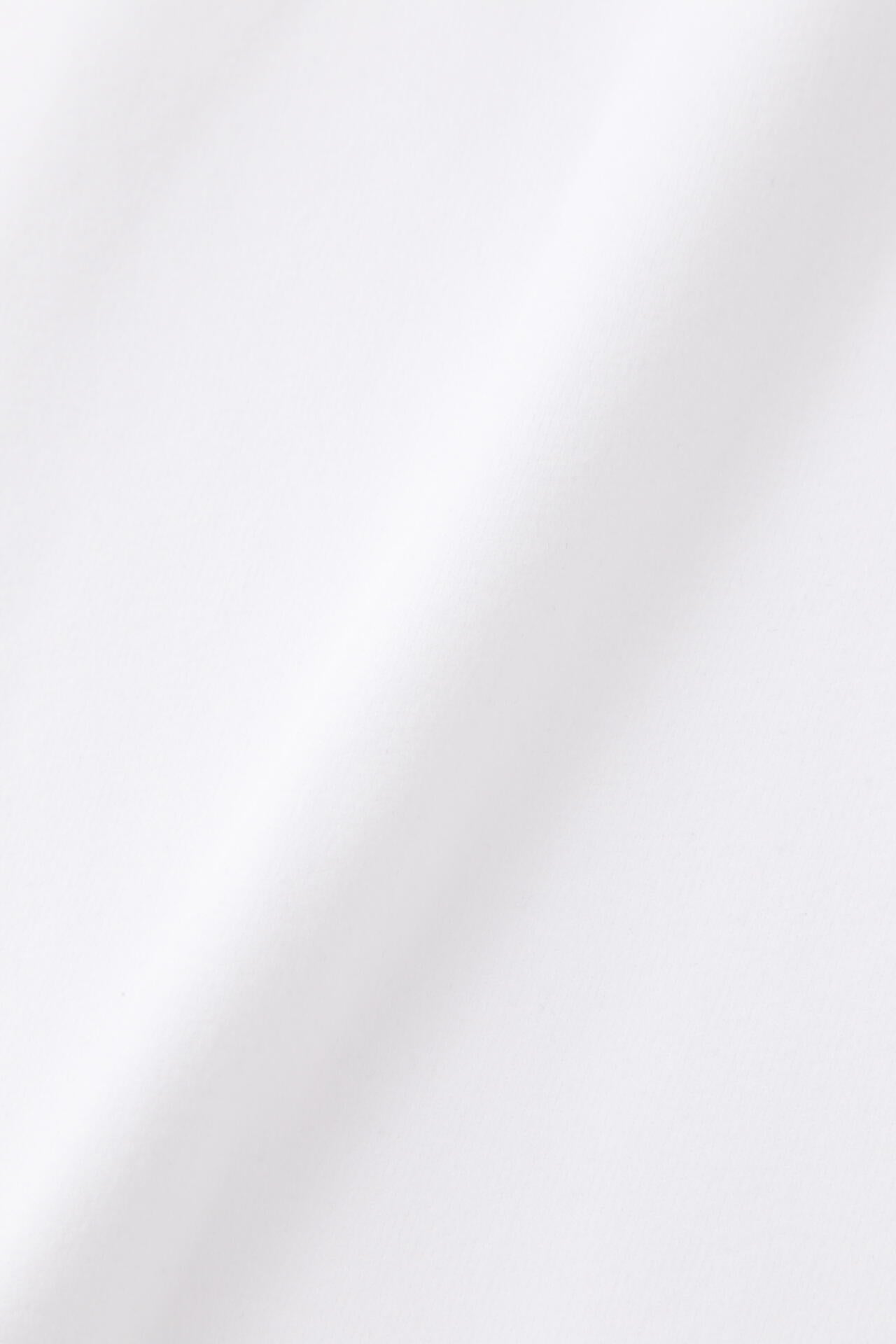 微塵ボーダーダブルフェイス 裏起毛 長袖 モックネック プルオーバー (WOMENS SPORT)