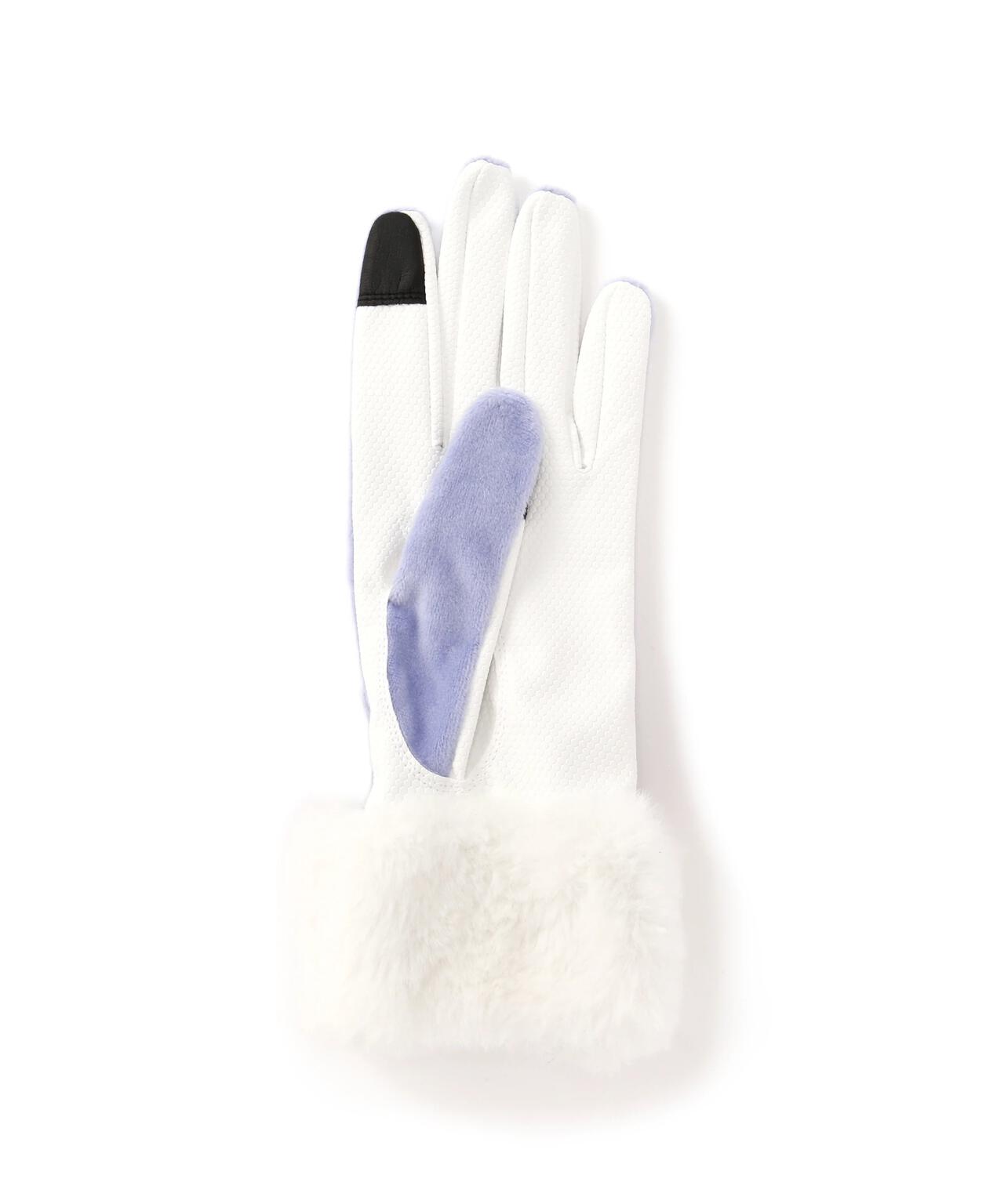 タッチパネル対応 両手用 ウォームグローブ (WOMENS)