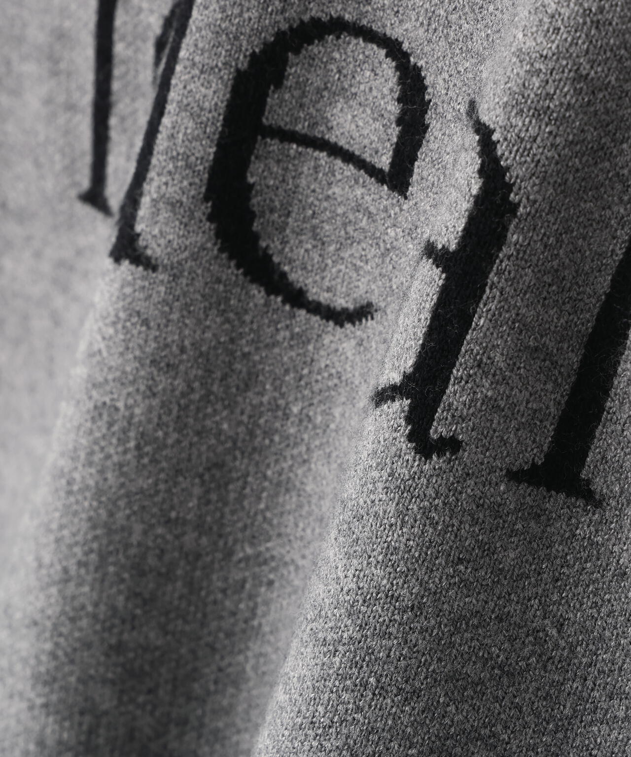 【Oggi掲載】ダブルジャガードロゴニット