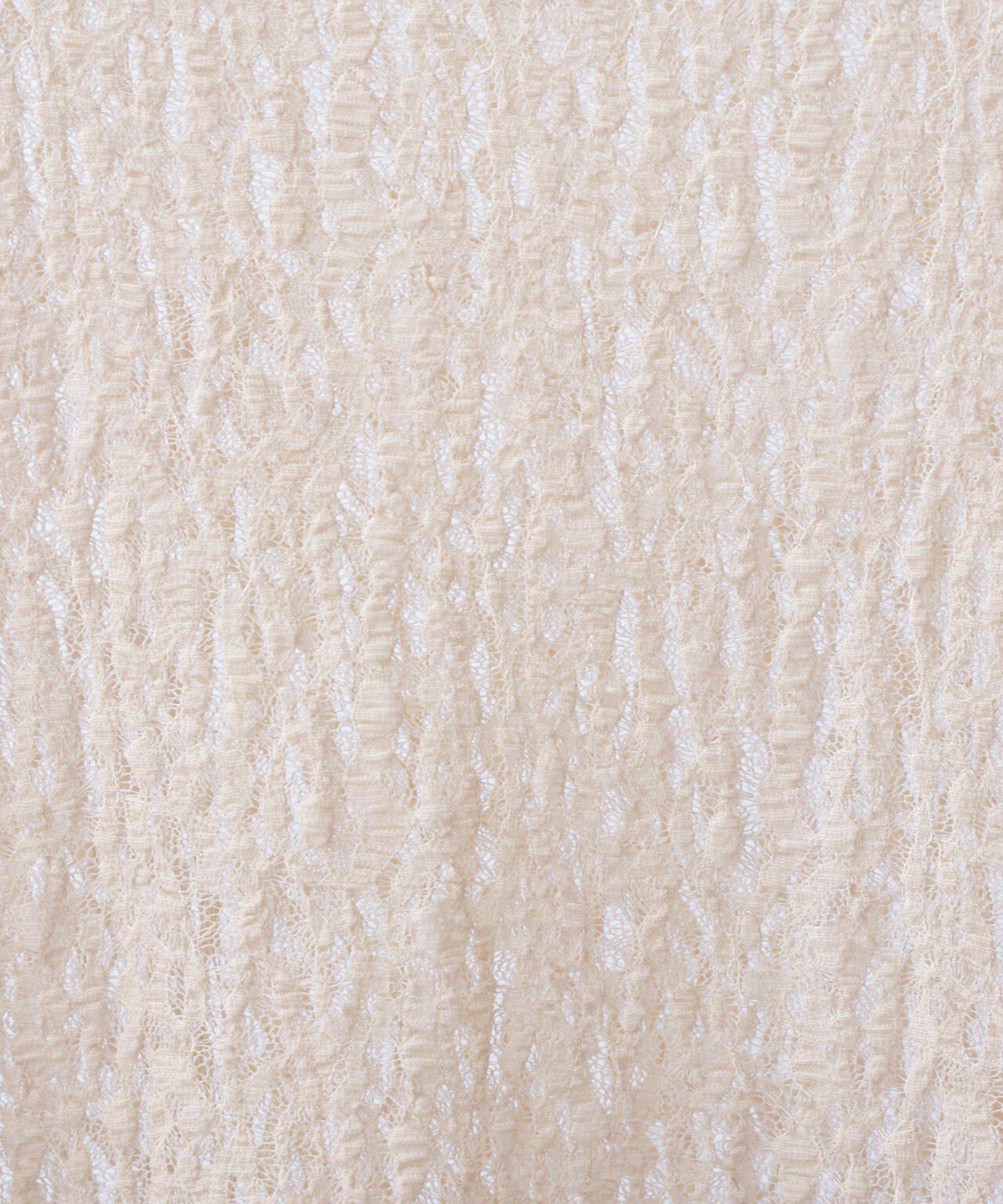 レースカットソー