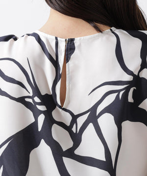 b5cf18b7-c099-5952-bb70-b43ae643482d_Image