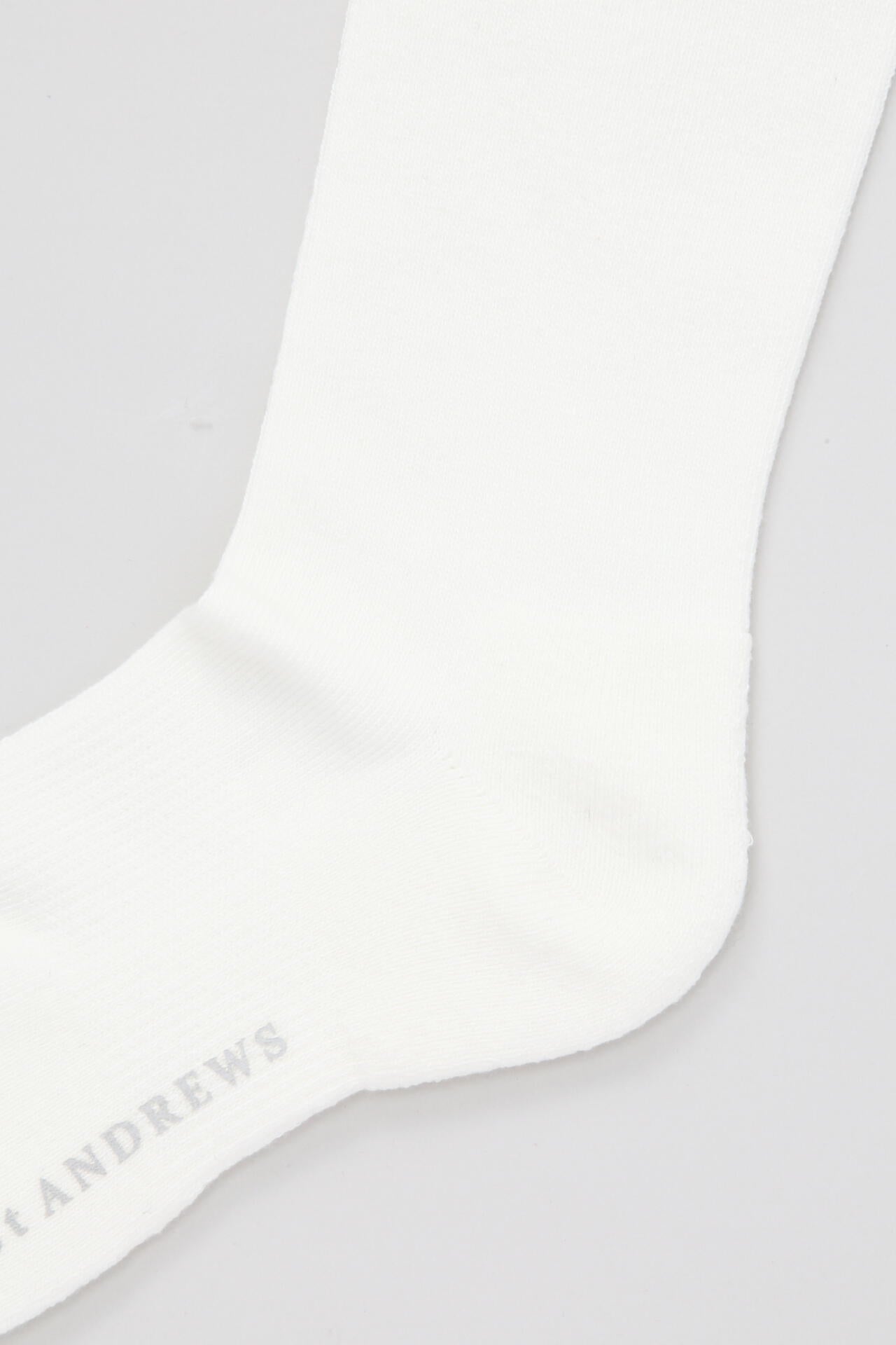 ラメラインハイソックス (WOMENS)