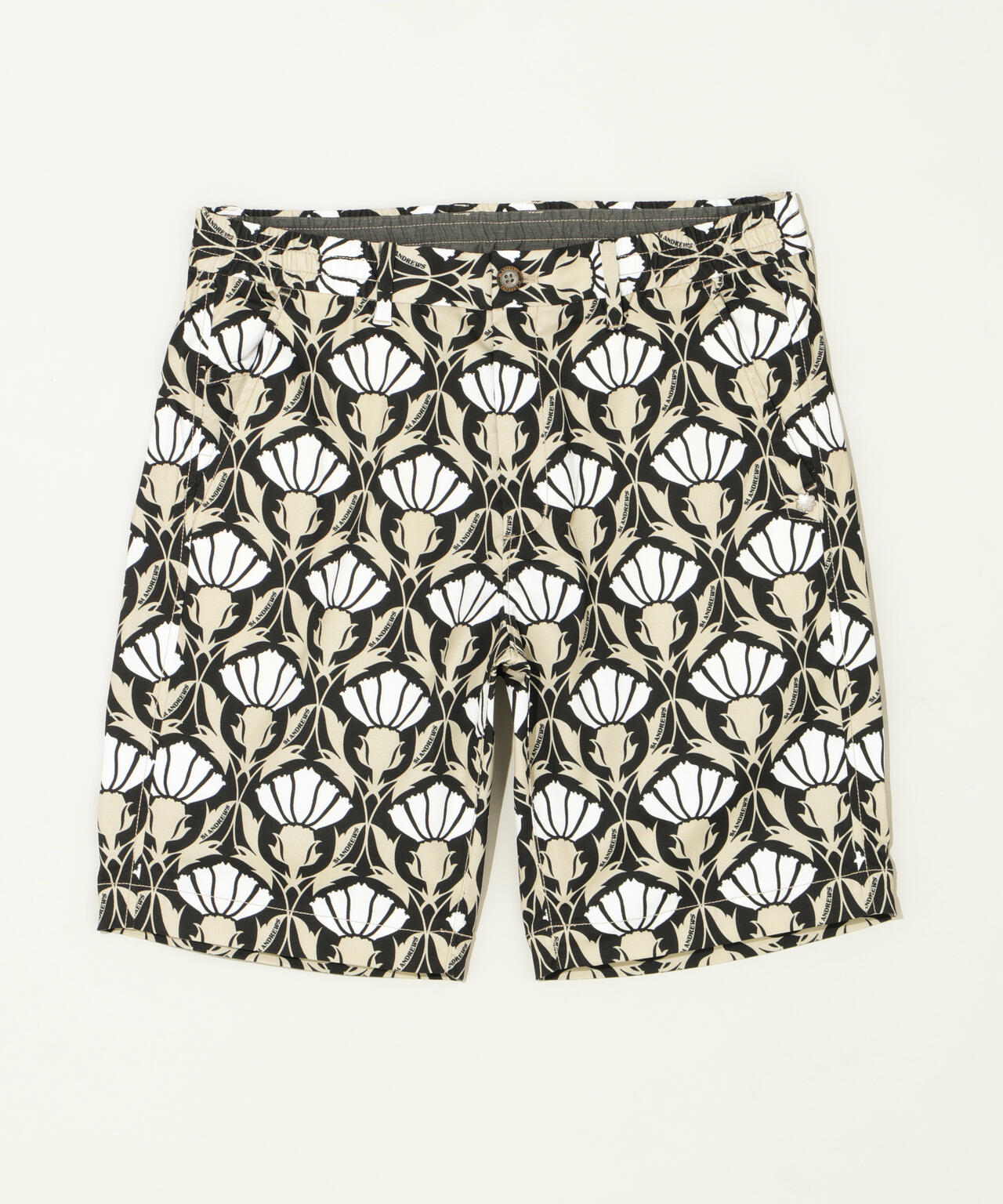 4a0971a3-54c9-5bf0-9e01-f1d18ca726f5_Image