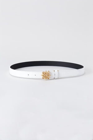 ed99c6b5-3f28-55e7-8ca9-ae3655dc455f_Image