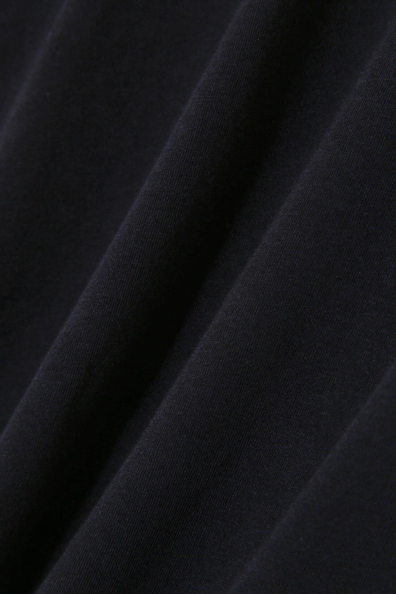 ベア天竺長袖ハイネックカットソー (WOMENS)