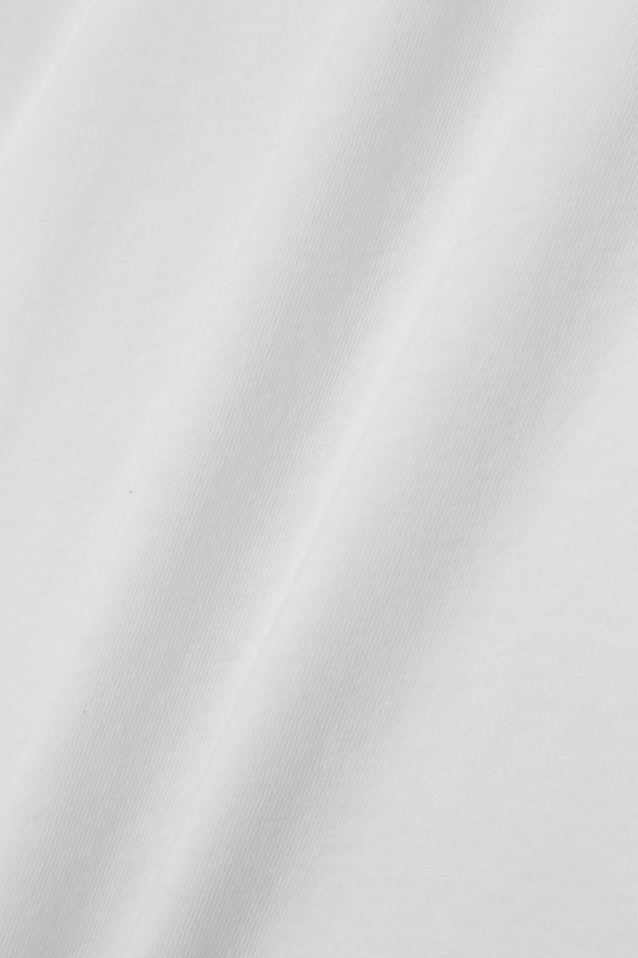 ベア天竺長袖ハイネックカットソー (WOMENS)