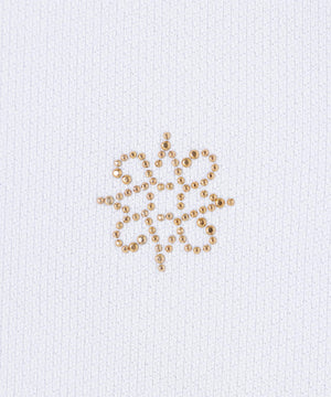 be05fb10-5881-5ef4-b75f-ed5f950ff9c4_Image