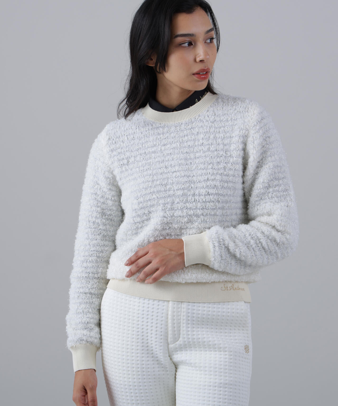 ファンシークルーネックニットプルオーバー (WOMENS)