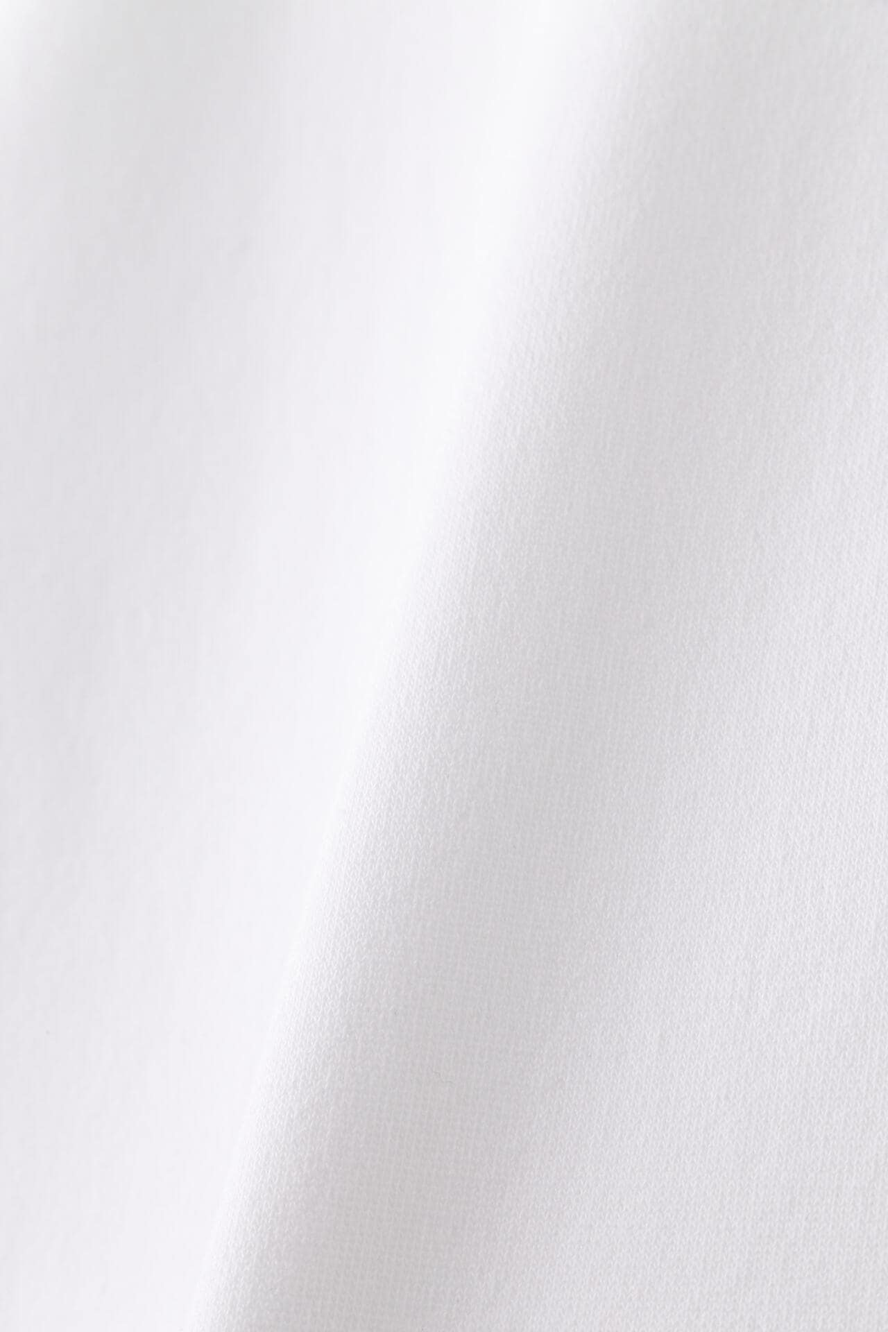 TEXBRID TOPスパン裏毛 フルジップフーディ ＜トラッドラビット＞