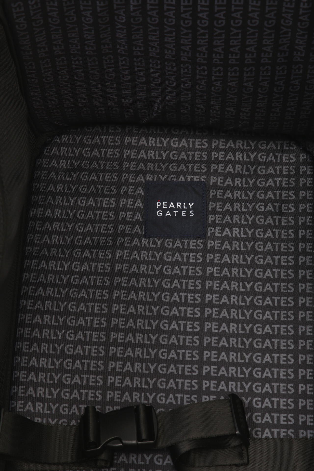 2f8fec41-92e8-5371-9b28-862210011a02_Image