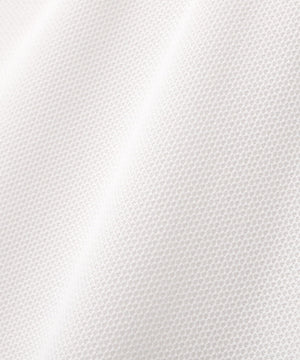 ff16227f-49a4-5c4e-b0b7-2472964e11fd_Image