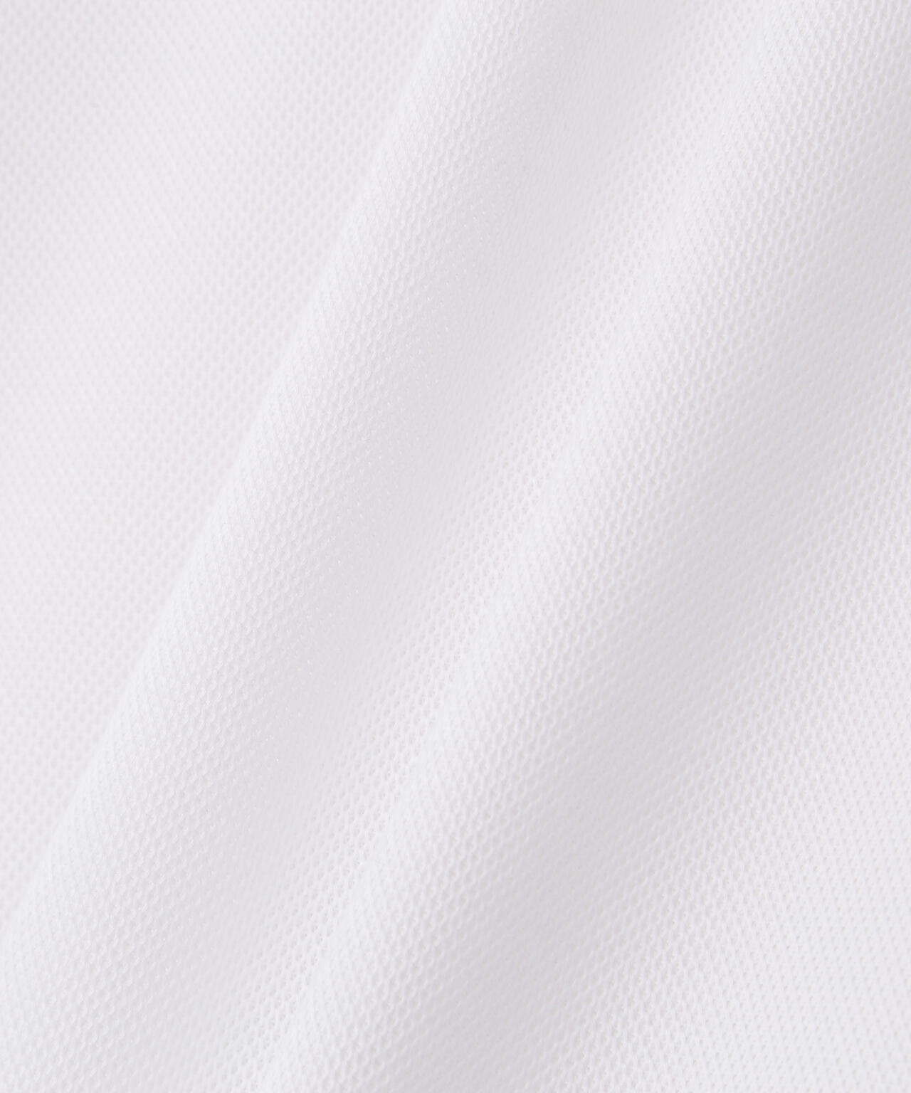 Ｔ／Ｃカノコシルケット