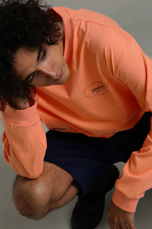 bb8cdd44-624b-5d78-be3d-a2158dcfe87a_Image