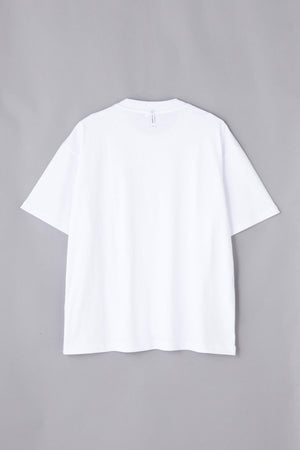 e48be496-d4c8-5ab4-9da0-ce87bf4d4393_Image