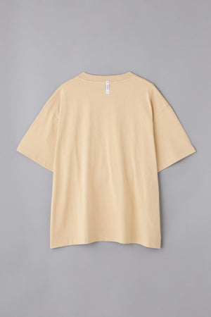 c91c7fe4-d162-537b-9d0c-9e76c2181144_Image