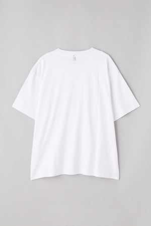 078d4117-bd11-508e-af7b-60387abb301c_Image