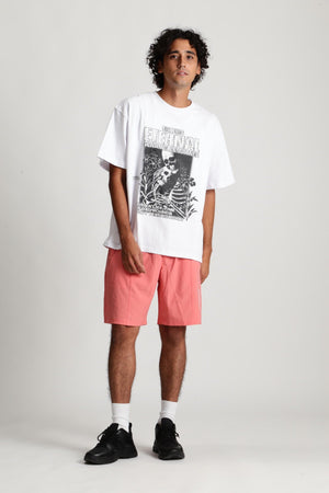 bd68986b-3aed-57c0-bf9f-c425529f04ac_Image