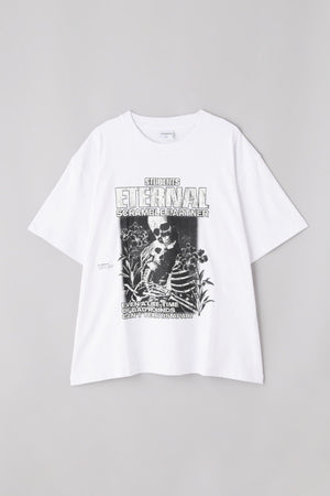 327c7fa6-791f-5f5c-be5a-599c1c9d6765_Image