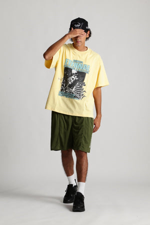 51402b6b-1d58-59d3-a4bc-c9a0927e938f_Image