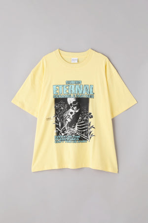 dc8f3535-3d1c-58a3-8570-d3d177a39ff5_Image