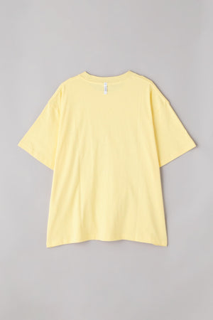 42cc19f9-093b-547f-adb2-824f75e215c7_Image