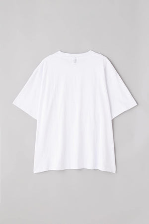 aa185824-66d2-57a0-9745-4c70016de1d3_Image