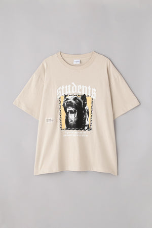 05714efa-9c28-5feb-ba67-141150250c3a_Image